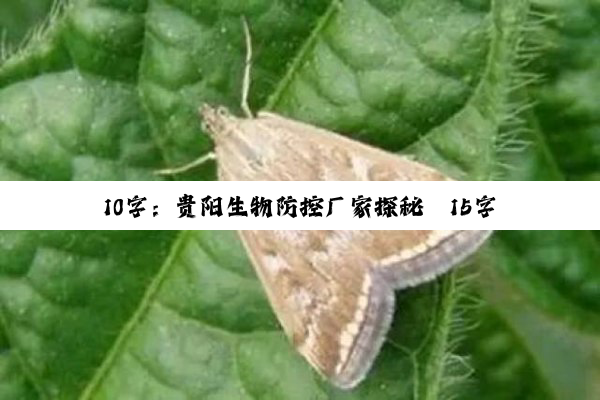 10字：贵阳生物防控厂家探秘
