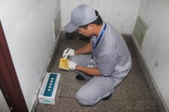 如何做好学校灭鼠需要注意以下几个方面
