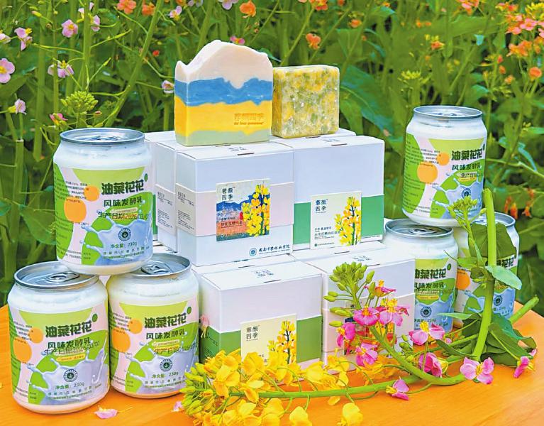 成都市农林科学院开发的油菜花产品。 成都市农林科学院供图